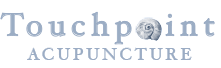 A WordPress Site